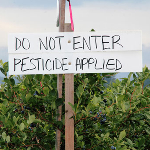 Pesticides and well water. How to protect your family. Pesticides