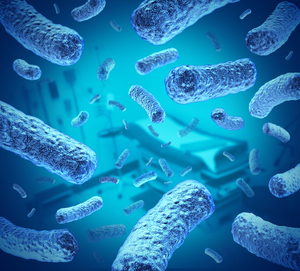 Bacteria, e-coli, and well water Bacteria, e-coli, and well water
