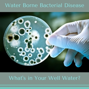 Solving Bacteria Problems in Well Water bacteria in water