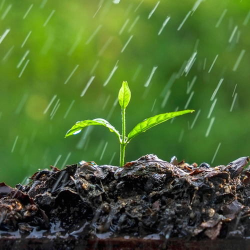 Massachusetts well irrigation systems Irrigation systems