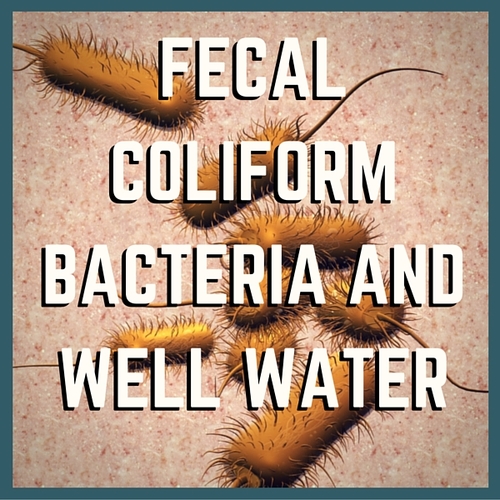 Testing For Fecal Coliform Bacteria in Well Water Testing Well Water